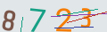 verifycode